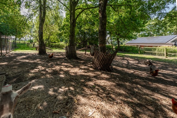 Medium property photo - Verlengde Broekstraat 8, 7382 AG Klarenbeek